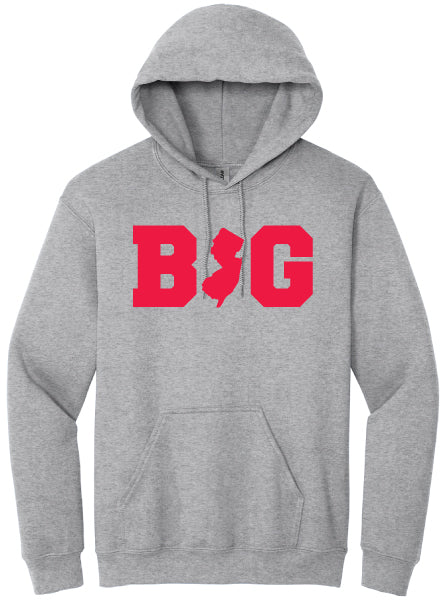 BNJG Hoodie Gry frt